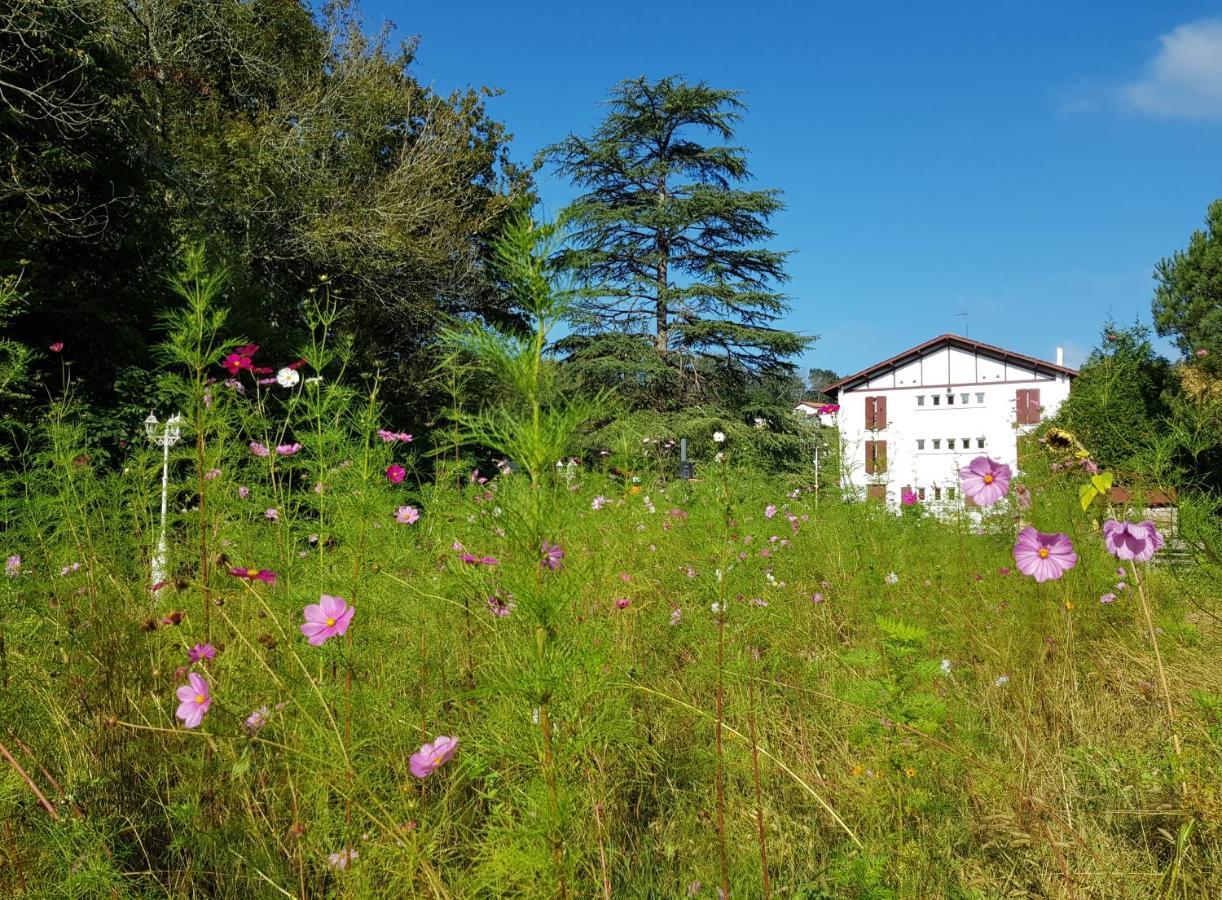 Hotel Pyrenees Atlantique Saint-Pée-sur-Nivelle Exteriör bild